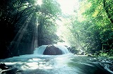 天然水最安値ランキング