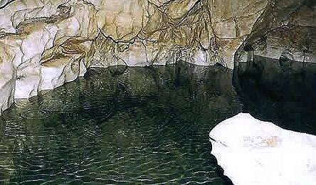 神泉洞の天然水
