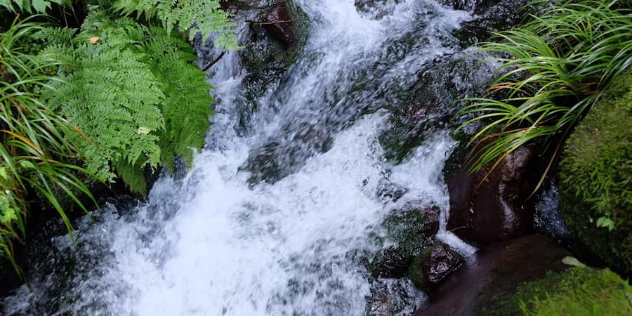 群馬県の天然水「箱島湧水」